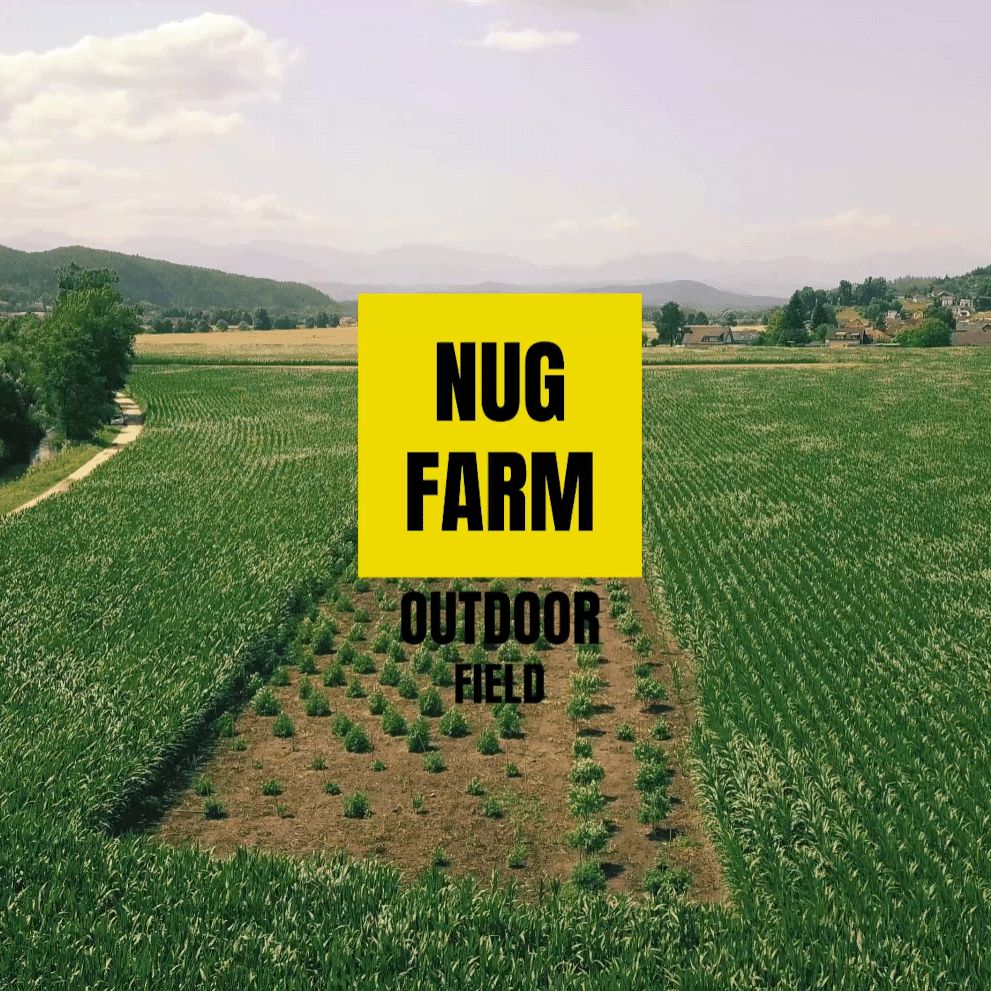 Luftaufnahme vom NUG Farm Outdoorfield mit Logo