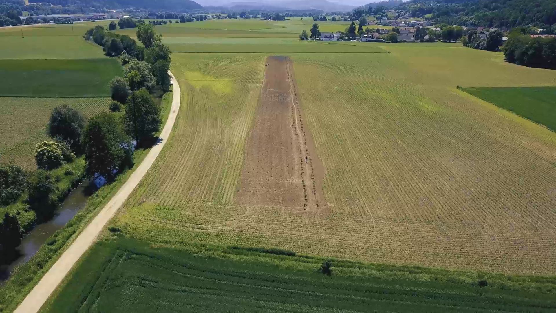 Luftaufnahme: vorbereitetes Feld der NUG Farm neben einem Feldweg und grünen Nachbarfeldern